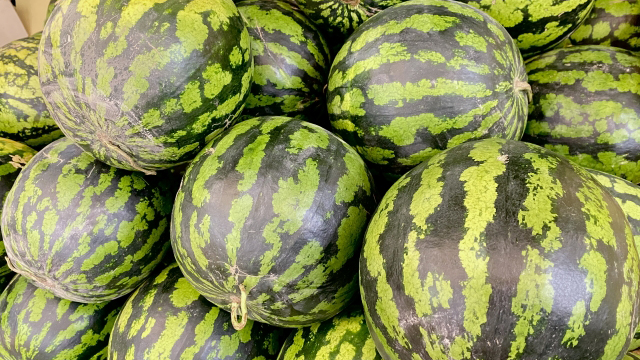 【伊藤商店の野菜ソムリエMrs.Yukoレポート】夏の代表的な野菜④スイカ