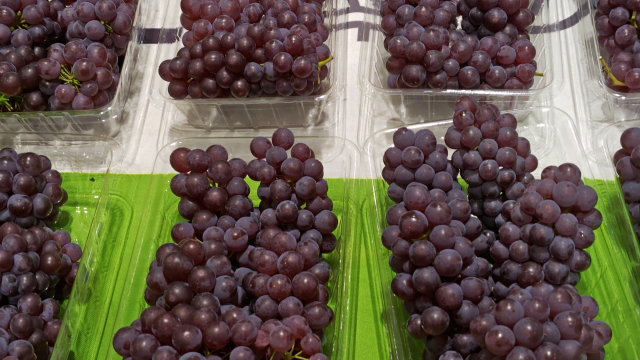 【伊藤商店の野菜ソムリエMrs.Yukoレポート】夏の代表的な果物⑥ぶどう