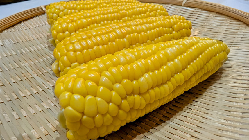 とうもろこし