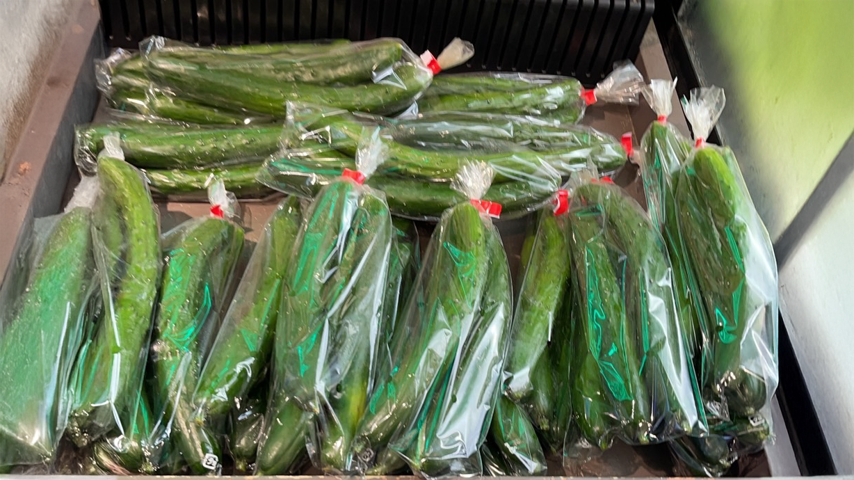 【伊藤商店の野菜ソムリエMrs.Yukoレポート】夏の代表的な野菜②キュウリ